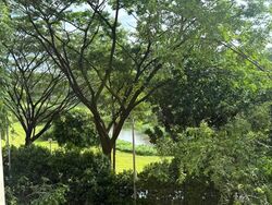 Blk 221 Bishan Street 23 (Bishan), HDB 5 Rooms #555317561